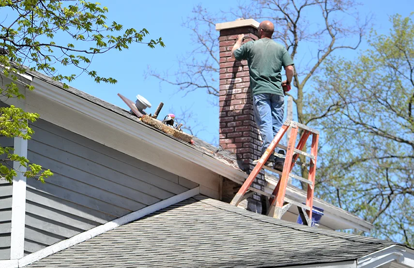 Chimney & Fireplace Inspections Services in Tarpon Springs, FL